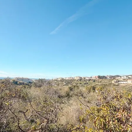 فيلة La Paloma Blanca